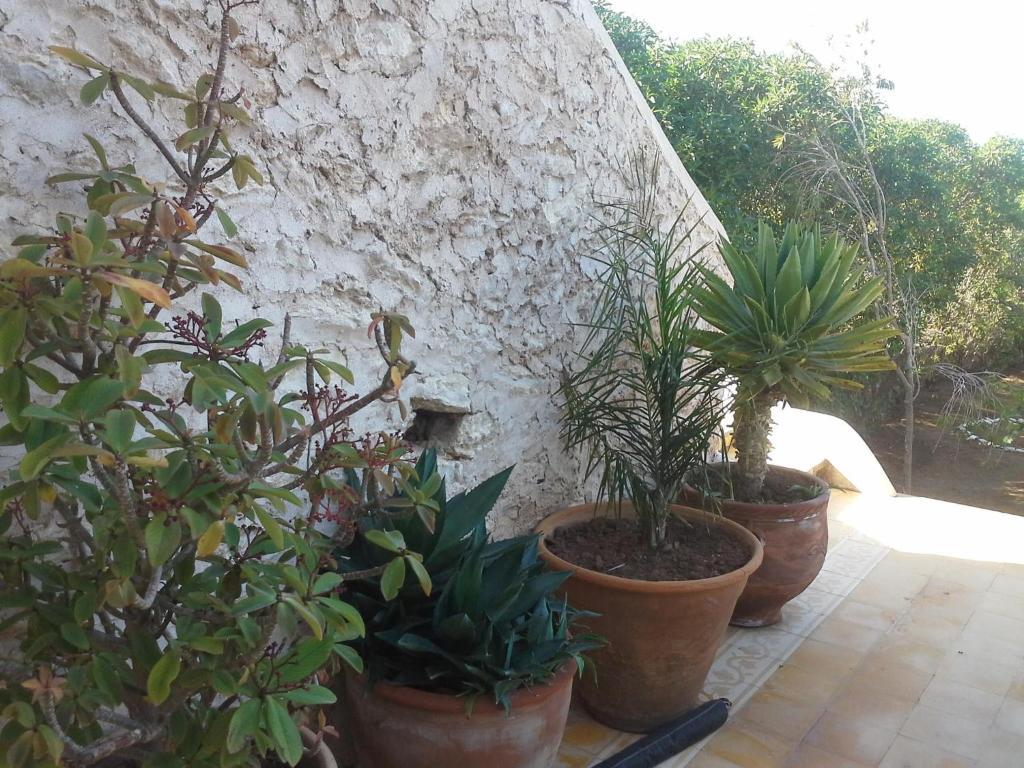 La Maison Essaouira Hotel Eksteriør billede