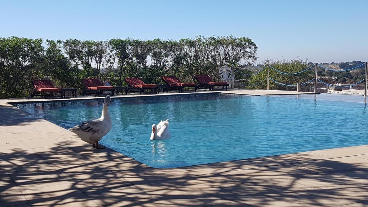 La Maison Essaouira Hotel Eksteriør billede