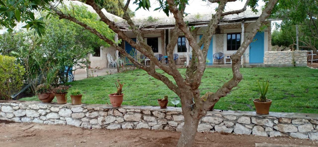 La Maison Essaouira Hotel Eksteriør billede
